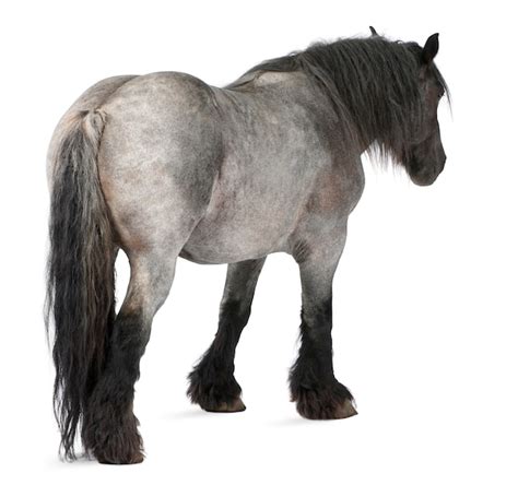 南京手游創業人生攻略 網絡信息技術推廣服務的制勝之道